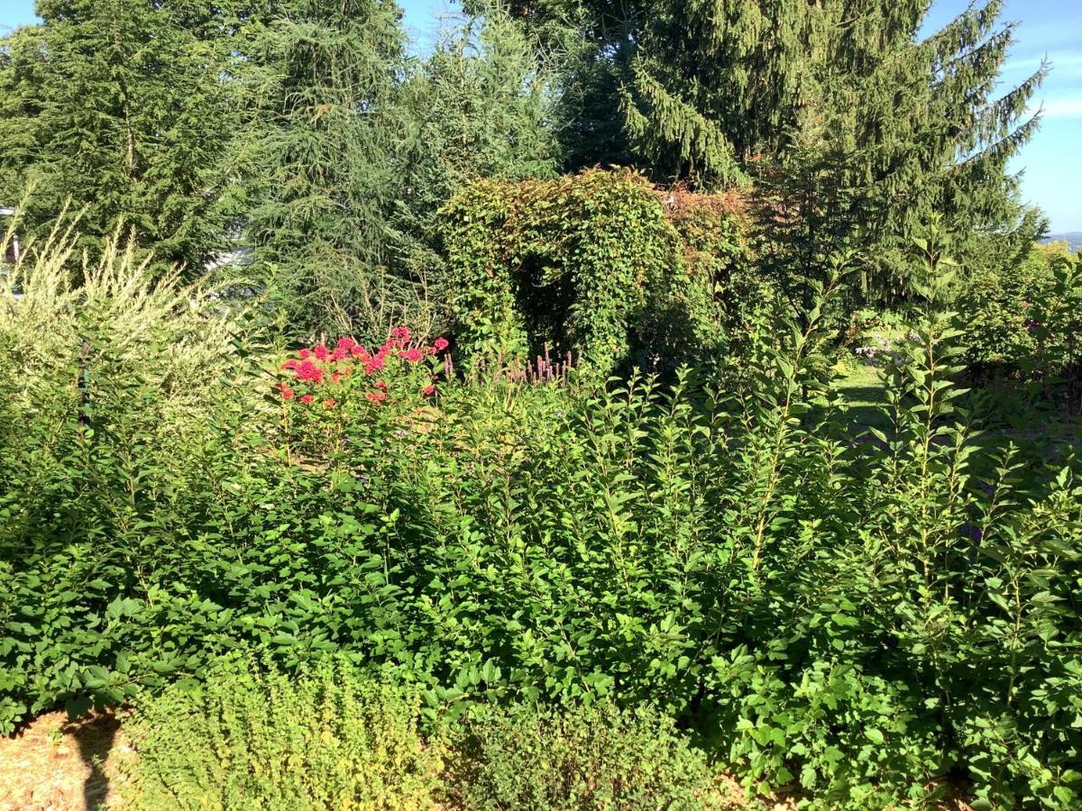 Les Saisons Du Fleuve Bed and Breakfast Lotbiniere Buitenkant foto
